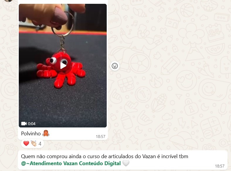Depoimento de aluno sobre o curso de articulados